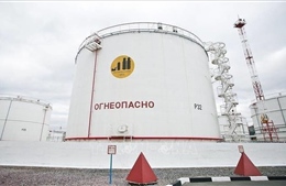 Những con số chứng minh EU nhập khẩu từ Nga nhiều hơn viện trợ cho Ukraine