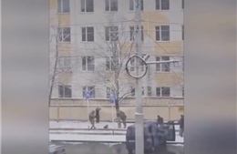 Video Cơ quan An ninh Liên bang Nga bắt giữ người định gài bom trong bãi đỗ xe