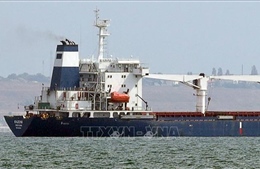 UAV Nga tập kích cảng phía Nam Ukraine, gây hư hại nhiều tàu nước ngoài