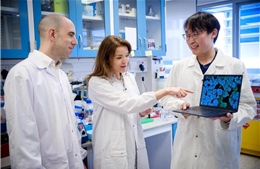 Singapore phát hiện phương pháp mới vô hiệu hóa vi khuẩn kháng kháng sinh