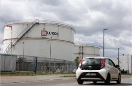 Tập đoàn dầu Lukoil đề nghị chính phủ Nga cứu trợ tài chính