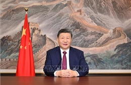 Chủ tịch Tập Cận Bình cảnh báo hành động đơn phương làm tổn hại trật tự quốc tế