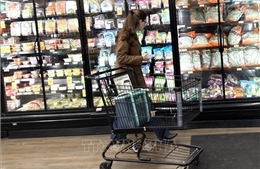 Báo cáo mới xác nhận người dân Mỹ phải gánh thuế quan của Tổng thống Trump