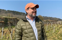 Nhân vật then chốt trong phán quyết về thuế quan của Tòa án Tối cao Mỹ