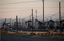 Toàn cảnh đợt gián đoạn dầu mỏ nghiêm trọng nhất trong lịch sử