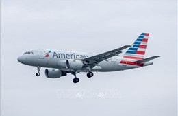 Cú sốc giá nhiên liệu buộc các hãng hàng không thế giới tăng giá vé, cắt chặng bay