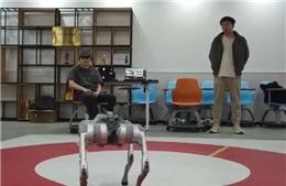 Từ suy nghĩ đến máy móc: Điều khiển chó robot chỉ bằng ý nghĩ