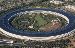 AI bùng nổ ở Mỹ, cả thế giới bị tụt lại phía sau