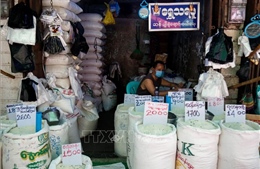 Myanmar hướng tới tương lai không tiền mặt cho ngành lúa gạo