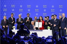 UAE góp 100 triệu USD cho Hội đồng Hòa bình của Tổng thống Trump