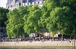 Từ dòng nước ô nhiễm, sông Seine trở thành điểm bơi lội hấp dẫn nhất Paris