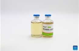 Mặt hàng đặc biệt mà Trung Quốc phụ thuộc nặng nề vào Mỹ