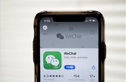 AI tạo ra 'sâu máy tính' có thể tự lây lan trên hàng triệu điện thoại