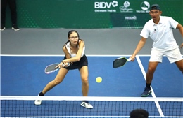 Lưu ý lựa chọn bóng pickleball phù hợp cho người mới bắt đầu