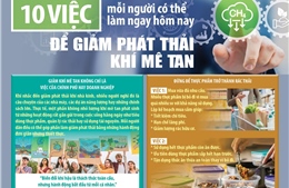 10 việc mỗi người có thể làm ngay hôm nay để giảm phát thải khí mê tan