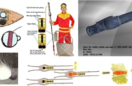 Vũ khí phốt pho, tài nguyên diêm tiêu thời Hoàng đế Quang Trung dưới một góc nhìn Sử học