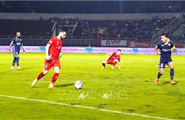 Vòng 11 V-League 2025 - 2026: Rực lửa sân Thống Nhất