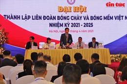 Ông Trần Đức Phấn được bầu làm Chủ tịch Liên đoàn Bóng chày và Bóng mềm Việt Nam