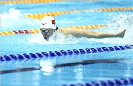 SEA Games 33 ngày 10/12: Bơi, đua thuyền, võ xuất trận