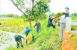 Ngập úng và thiệt hại trên 202.000 ha lúa