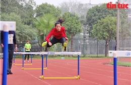 Thể thao Việt Nam đánh giá khả năng cạnh tranh huy chương tại SEA Games 31