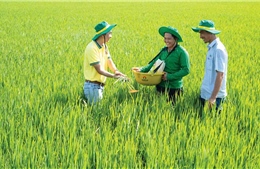 Nghiên cứu, phát triển sản phẩm và chuyển đổi số góp phần tạo bước nhảy vọt cho nông nghiệp Việt Nam
