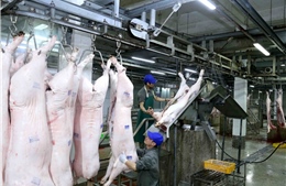 Thị trường thịt lợn: Không để găm hàng, thổi giá