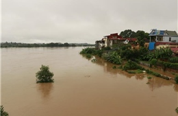 Nguy cơ lũ lên cao trên sông Thao