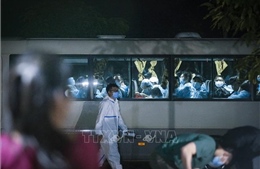 Việt Nam thêm 3 trường hợp mắc mới COVID-19, đã được cách ly ngay sau khi nhập cảnh