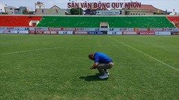 Đội tuyển Việt Nam chọn Quy Nhơn để tập luyện trước ngày sang UAE