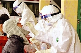 Phát hiện các mẫu virus SARS-CoV-2 thuộc biến chủng Ấn Độ tại Đà Nẵng và Điện Biên