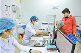 Ngày 24/1, Việt Nam có 14.362 ca mắc mới COVID-19; ca nhiễm biến thể Omicron đã xuất hiện tại 13 tỉnh, thành