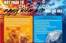 CH4 và CO2: Tác nhân nào gây nóng lên toàn cầu mạnh hơn?