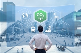 Doanh nghiệp Việt chung tay xây dựng thương hiệu quốc gia 'Net Zero' 