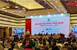 Hiệp hội Doanh nghiệp nhỏ và vừa Việt Nam là tổ chức xã hội - nghề nghiệp lớn và uy tín