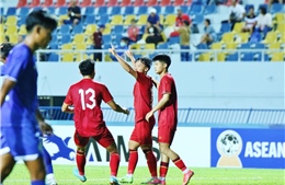Góc nhìn chuyên gia: &#39;Bóng đá Việt Nam có nhiều cơ hội phát triển&#39;