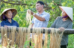 Canh tác chuối theo hướng kinh tế tuần hoàn để thực hiện mục tiêu Net Zero