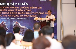 Hà Nội tăng cường công tác phòng, chống bệnh dại