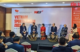 Chuyên nghiệp hoá kinh doanh và tiếp thị thể thao Việt Nam