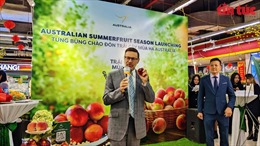 Giới thiệu hoa quả mùa hè Australia nhân kỷ niệm 50 năm thiết lập quan hệ ngoại giao Australia và Việt Nam