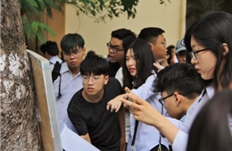 Toàn bộ Bộ đề thi tham khảo THPT quốc gia năm 2019