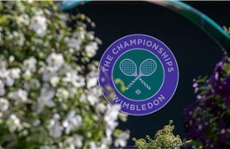 Ban tổ chức Wimbledon 2020 nhận bồi thường hơn 140 triệu USD khi hủy giải