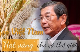 Gạo Việt Nam - &#39;Hạt vàng&#39; cho cả thế giới