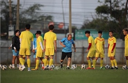 Việt Nam vững vàng Top 15 châu Á trong bảng xếp hạng FIFA