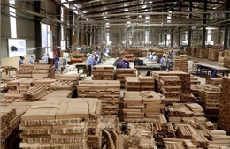 Tránh rủi ro pháp lý trong đấu thầu mua sắm công các sản phẩm về gỗ 