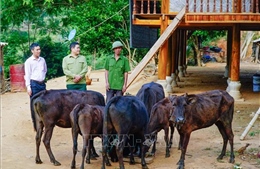 Điểm tựa vững chắc của người dân vùng biên thùy