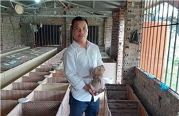Thanh niên phát triển kinh tế nông nghiệp 