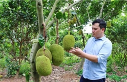 Những thanh niên &#39;lấy nông nghiệp làm giàu&#39;