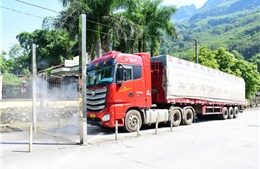Tuyên Quang: Tăng cường phòng, chống bệnh Chikungunya