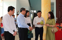 Tuyên Quang nâng tầm sản phẩm OCOP: Từ chất lượng đến thương hiệu
